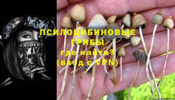 мдпв Балахна