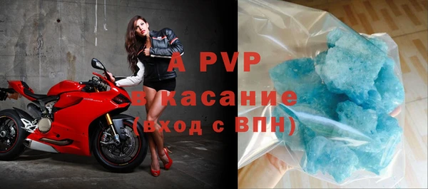 прущие крисы Белокуриха
