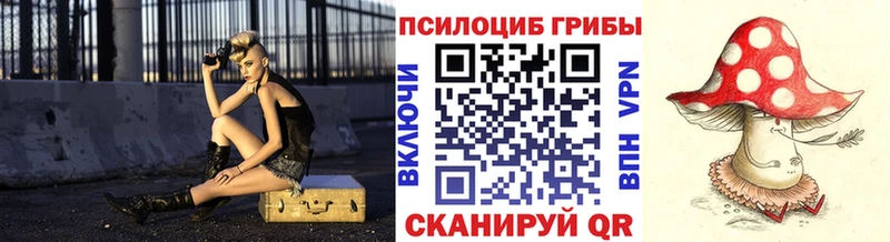 Купить где  Нерчинск  Галлюциногенные грибы Psilocybine cubensis 