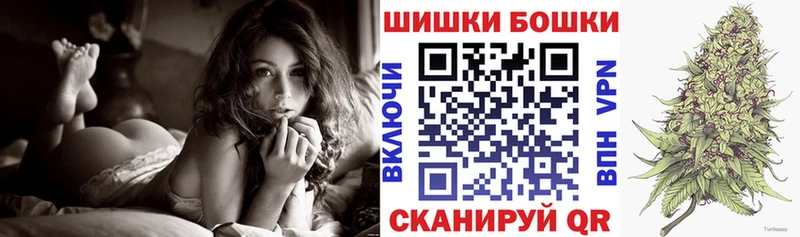 Купить закладки  Нерчинск  Конопля SATIVA & INDICA 